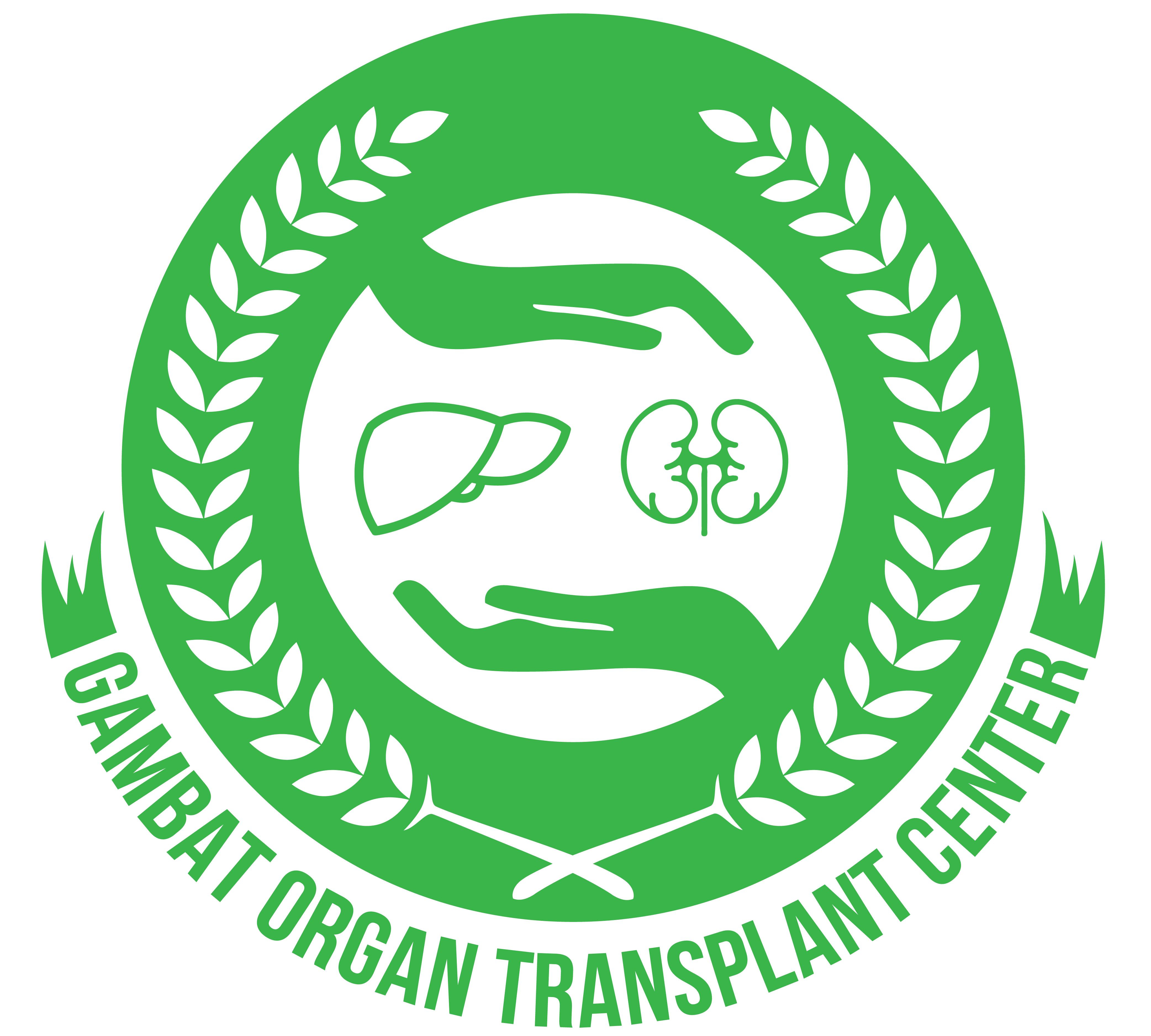 Gambat Liver Transplant Program